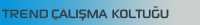 Trend Çalışma Koltuğu